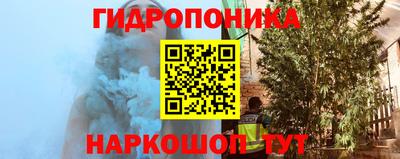 индика Рыбинск
