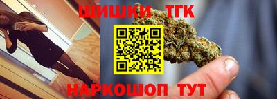 индика Рыбинск
