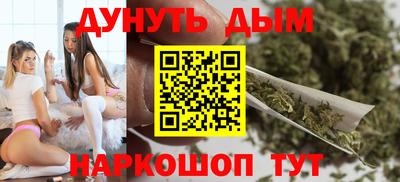 индика Рыбинск