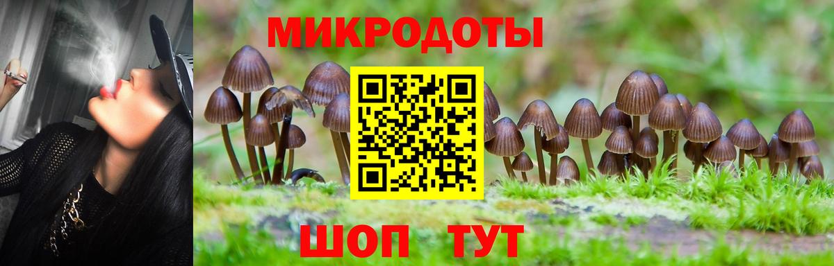 Псилоцибиновые грибы MAGIC MUSHROOMS  Вход с VPN  Рубцовск 