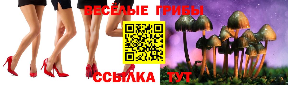 Гашиш Рубцовск